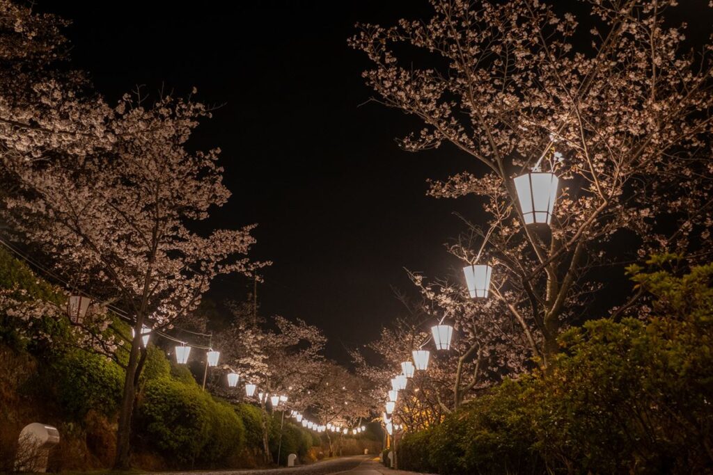 千光寺公園
