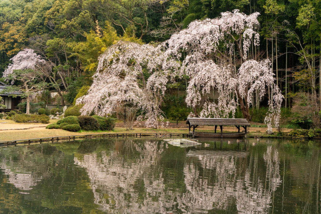曹源寺