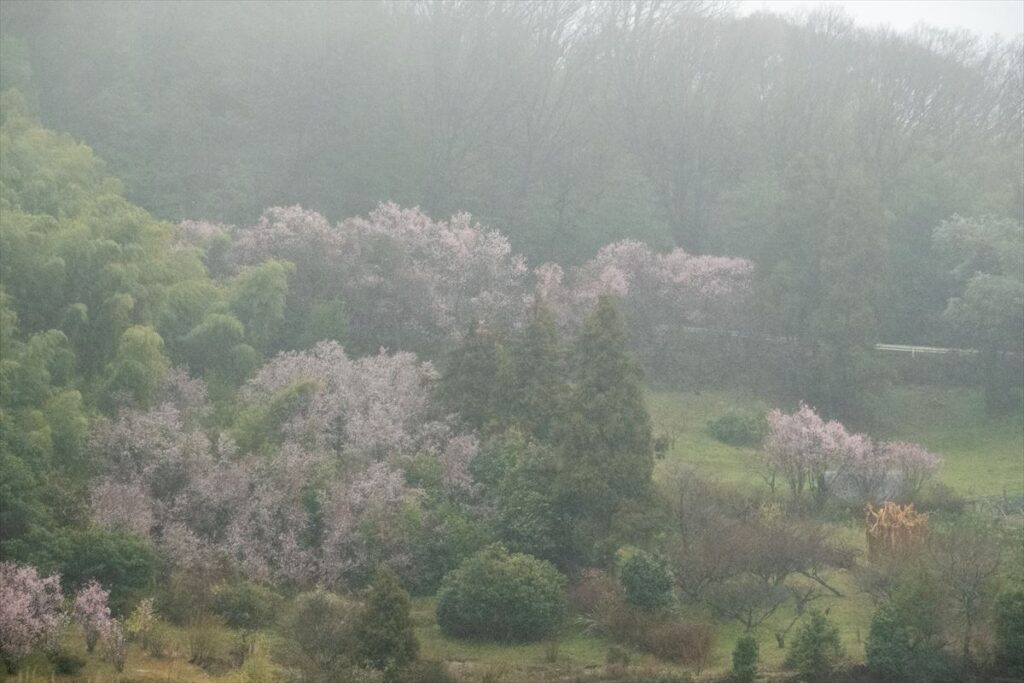 種松山