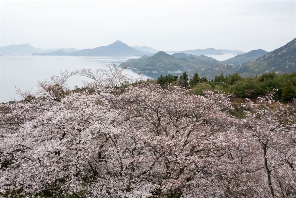 開山公園