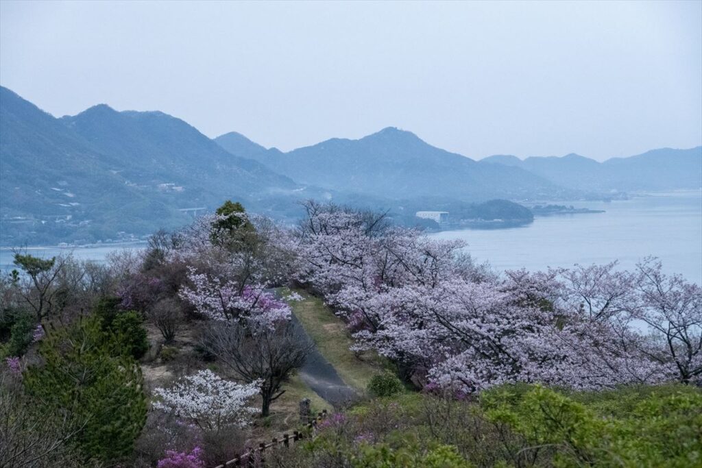 開山公園